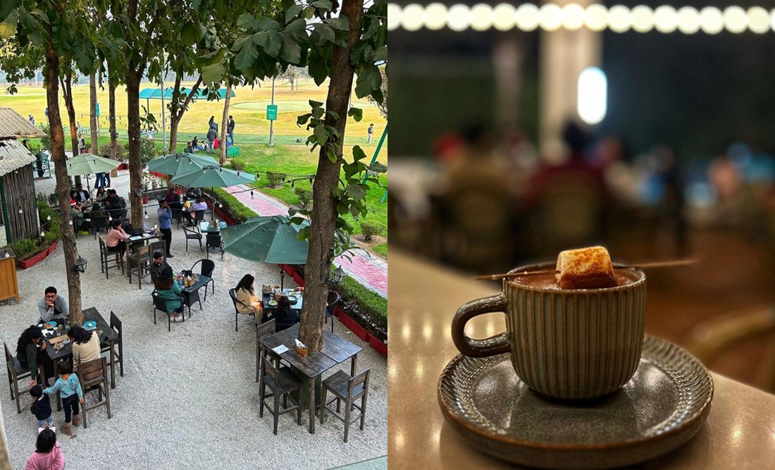 Hamoni Cafe Hidden Gem in Gurgaon, The Best Cafe Ever!